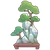 Bonsai