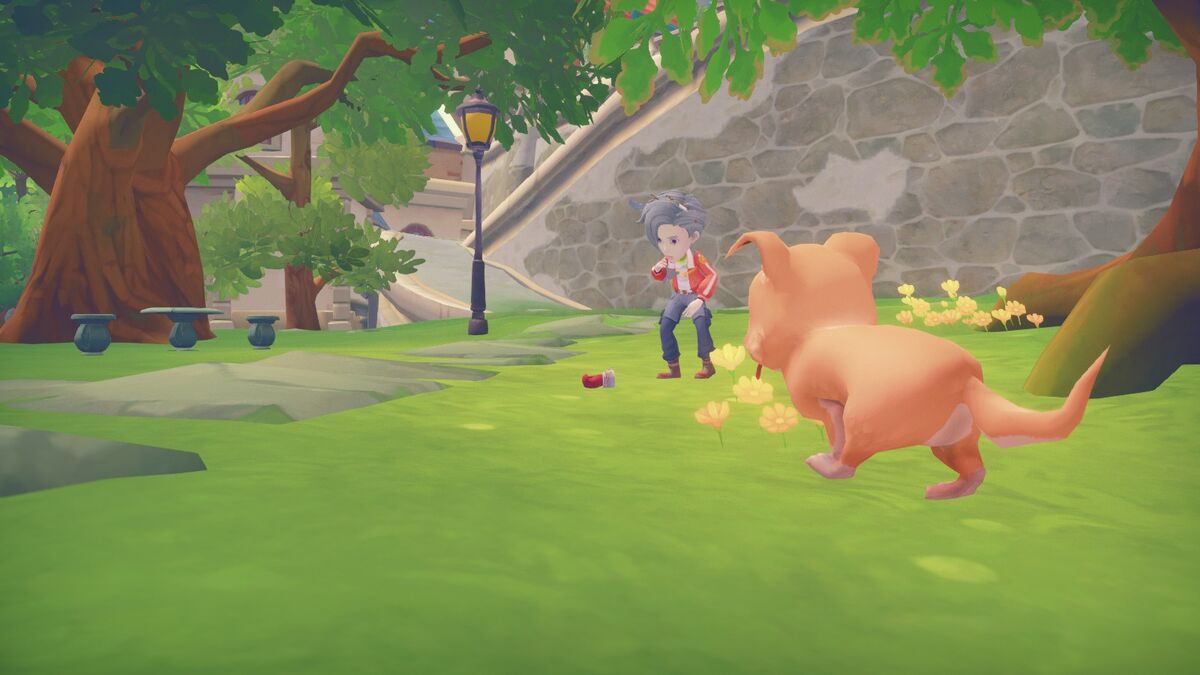 Portia missing boxing gloves store