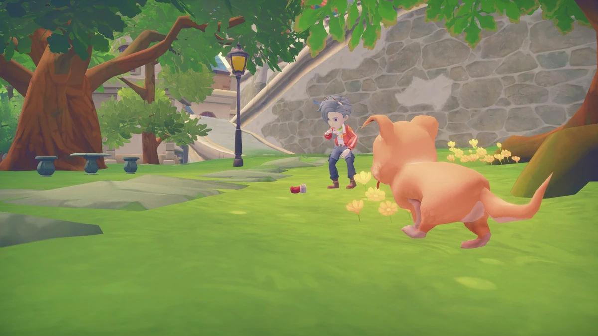 The Missing Boxing Gloves My Time at Portia Wiki Fandom