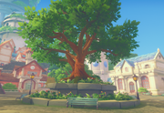 Wishing Tree 1