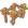 Grapevines