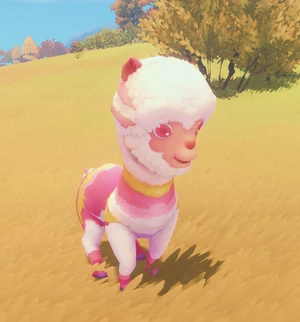 Colorful Llama