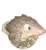50?cb=20190118231549