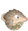 Yoyo