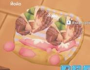 Both Yoyo's fit in the same nest