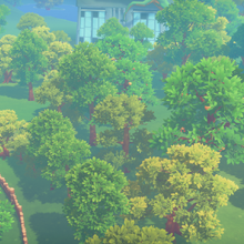 Tree Farm My Time At Portia Wiki Fandom