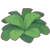 Herbs