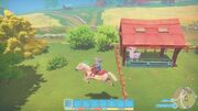 Riding horse from stable