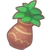 Pot of Asteria