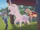 Ranching