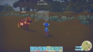 Trap location on the map