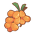 Palm Jujube.png