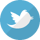 Twitter social icon