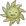 Sunny Side