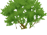 Logging