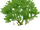 Logging
