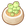 Succulent Plant