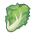 Lettuce.png