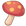 Red Mushroom