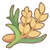 Wheat