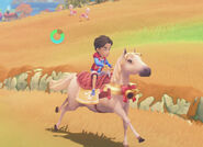 Mount endurance