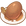 Tea Egg
