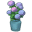 Potted_Purple_Hydrangea.png