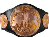 Unified Tag Team Championship(Title History)