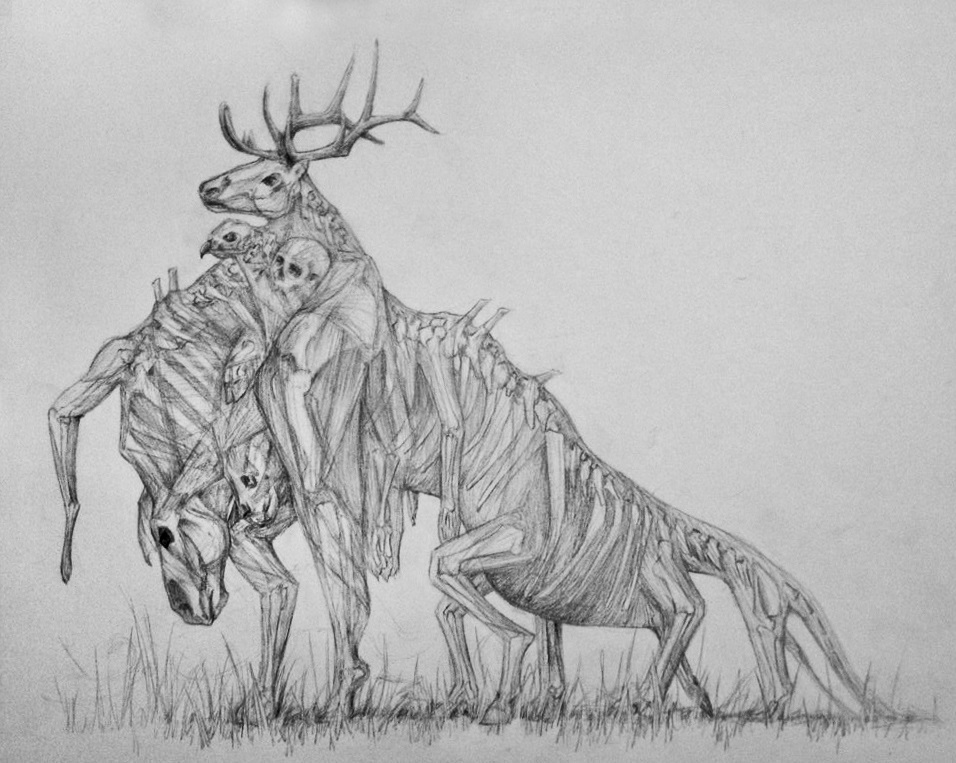 Espectro de la Bruma Nacidos de la Bruma Wiki Fandom