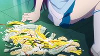 The broken dish