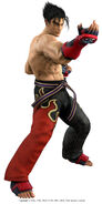 Jin in Tekken 5: Dark Resurrection.