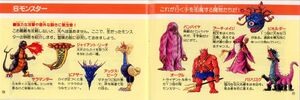 The Quest of Ki Japanese Manual (7)