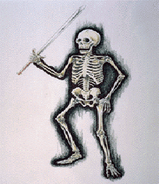 Skeleton