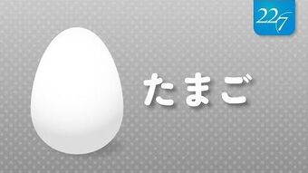 tamagoです。 Tamago | 22/7 Wiki | Fandom