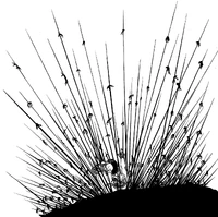 Matrona killing Liones troops.png (352 KB) Matrona using Daichi no Kiba