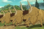 Dusk Bison (Yellow)