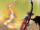 Gelda's Magical Power