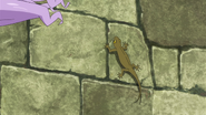 Chimera Lizard Anime