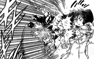 Meliodas attacking Diane