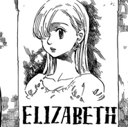 Cartel de Se busca de Elizabeth.