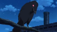 Gilthunder's Chimera disguised as a crow