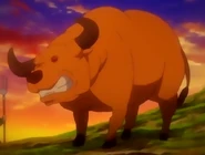 Dusk Bison