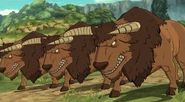 Dusk Bison (Black)