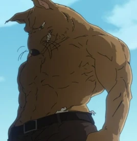 Werefox Transform