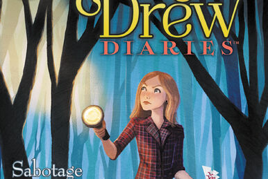 Nancy Drew Scrapbook Notebook Case Journal Sketchbook Girl Detective Lined  Blank Spiral Notebook 
