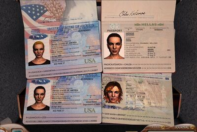 Bridget's IDs