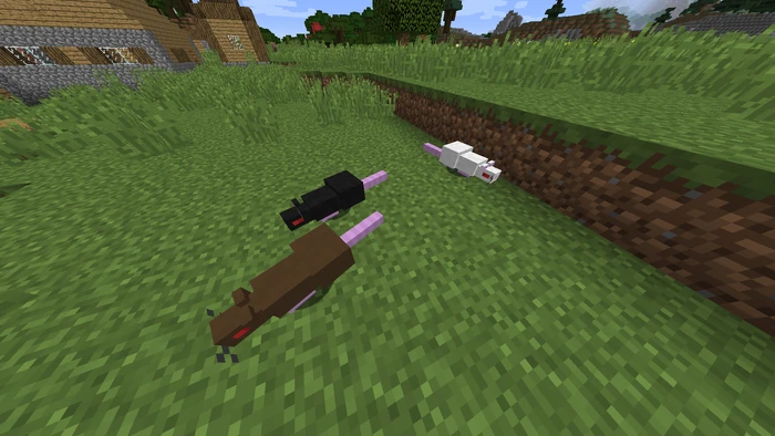 Rat | Nanex's Mobs (Minecarft Mod) Wiki | Fandom