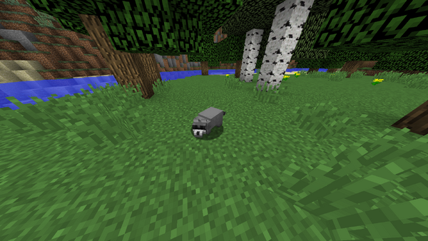 Racoon Nanex #39 s Mobs (Minecarft Mod) Wiki Fandom Racoon Nanex #39 s Mobs (Minecarft Mod) Wiki Fandom
