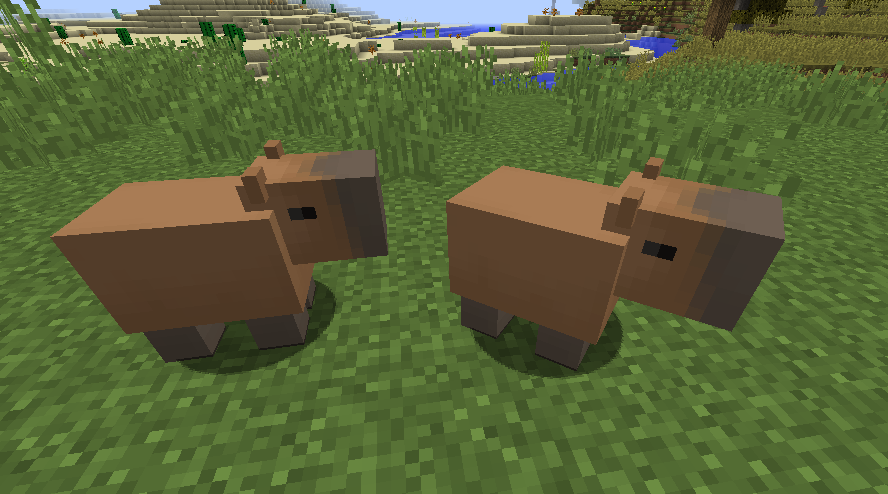 Capybara Nanex #39 s Mobs (Minecarft Mod) Wiki Fandom Capybara Nanex #39 s Mobs (Minecarft Mod) Wiki Fandom
