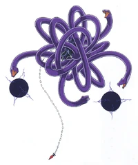 NachtWal's Autonomous Form